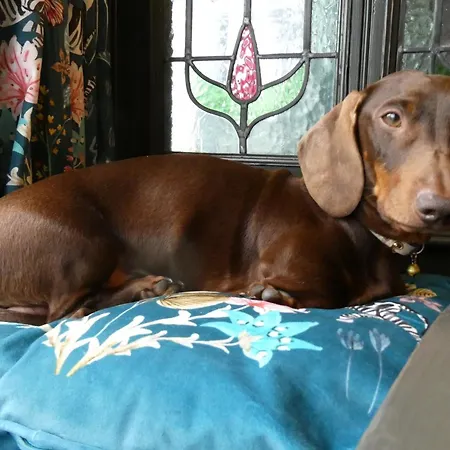 The Castle Tavern Richmond (North Yorkshire)